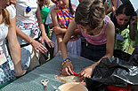 images/2010/bratia_v_belarusi_besedy_masterklassy/