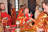 images/2010/hirotonia_dionisia_korosteleva/