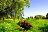 images/2010/larvishevo_lager/