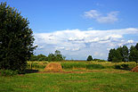 images/2010/larvishevo_lager/