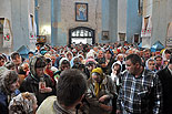 images/2010/synkovichi_icona_vsetsaritsa/