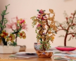 images/2013/V_Grodnenskoy_eparhii_otkrilas_blagotvoritelnaya_fotovistavka_v3235740.jpg