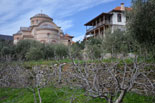 images/2013/athos_burazeri_cell_belozerka/