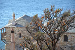 images/2013/dohiar_athos/