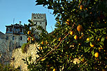 images/2013/dohiar_athos/