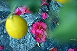 images/2013/dohiar_athos/