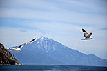 images/2013/dohiar_athos/
