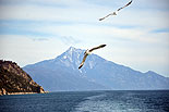 images/2013/dohiar_athos/