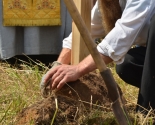images/2013/krest_v_zaslavle/