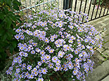images/2013/lebenshilfe_waren_garten_werkstatt/