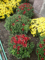 images/2013/lebenshilfe_waren_garten_werkstatt/