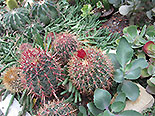 images/2013/lebenshilfe_waren_garten_werkstatt/