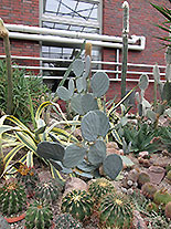 images/2013/lebenshilfe_waren_garten_werkstatt/