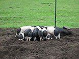 images/2013/lebenshilfe_waren_garten_werkstatt/