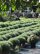 images/2013/lebenshilfe_waren_garten_werkstatt/