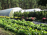 images/2013/lebenshilfe_waren_garten_werkstatt/