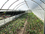 images/2013/lebenshilfe_waren_garten_werkstatt/