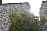 images/2013/monaster_hilandar_athos_spring/