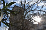 images/2013/monaster_hilandar_athos_spring/