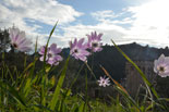 images/2013/monaster_hilandar_athos_spring/