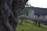 images/2013/monaster_hilandar_athos_spring/