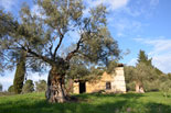 images/2013/monaster_hilandar_athos_spring/