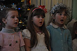 images/2013/rozdestvo_v_sadu/