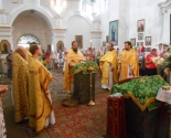 images/2014/18_chelovek_prinyali_tainstvo_kreshcheniya_v_vodah_reki3936934.jpg