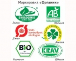 images/2014/Kak_provesti_Rogdestvo_Hristovo_ne_navrediv_okrugayushchemu_tvoreniyu7338566.jpg