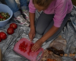 images/2014/Pohodi_kak_sredstvo_vospitaniya/