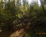 images/2014/Pohodi_kak_sredstvo_vospitaniya/