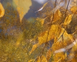 images/2014/Prazdnovanie_Pokrova_Presvyatoy_Bogoroditsi_v_Minske_vozglavil3241959.jpg