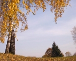 images/2014/Prazdnovanie_Pokrova_Presvyatoy_Bogoroditsi_v_Minske_vozglavil3834903.jpg