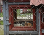 images/2014/Sotrudniki_sotsialnih_masterskih_poznakomilis_s_dostoprimechatelnostyami_mogiljova/
