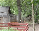 images/2014/Sotrudniki_sotsialnih_masterskih_poznakomilis_s_dostoprimechatelnostyami_mogiljova/