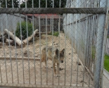 images/2014/Sotrudniki_sotsialnih_masterskih_poznakomilis_s_dostoprimechatelnostyami_mogiljova/