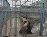 images/2014/Sotrudniki_sotsialnih_masterskih_poznakomilis_s_dostoprimechatelnostyami_mogiljova/