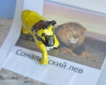 images/2014/V_sotsialnih_masterskih_sostoyalsya/
