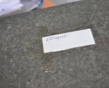images/2014/borisovchane/