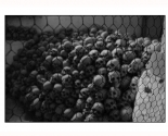 images/2014/fotovystavka_levishko/
