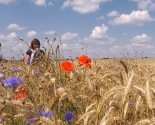 images/2015/Film_Po_kom_zvonit_kolokol_rasskaget.jpg
