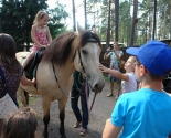 images/2015/Kak_minskiy_pravoslavniy_prihod_pomogaet_gitelyam/
