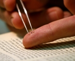 images/2015/Samuyu_malenkuyu_Bibliyu_v_mire_predstavili_v_muzee6639337.jpg