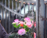 images/2015/VIDEO_Pod_Minskom_pochtili_71_yu_godovshchinu_osvobogdeniya_detey3686279.jpg