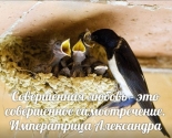 images/2015/dobroslovy/