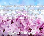 images/2015/dobroslovy/