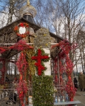 images/2015/matushkaValentinaVV/