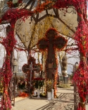 images/2015/matushkaValentinaVV/