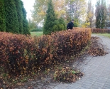 images/2016/Bratstva_imya_Uladzimira_Hiraska_adznachila_dzen/