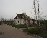 images/2016/Lyudi_prosyat_o_pomoshchi_Minchane_sobirayut/